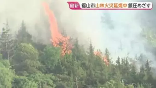 延焼続く広島・福山市の山火事 「きょう中の鎮圧目指す」と消防　住宅への延焼おそれは“小さい”