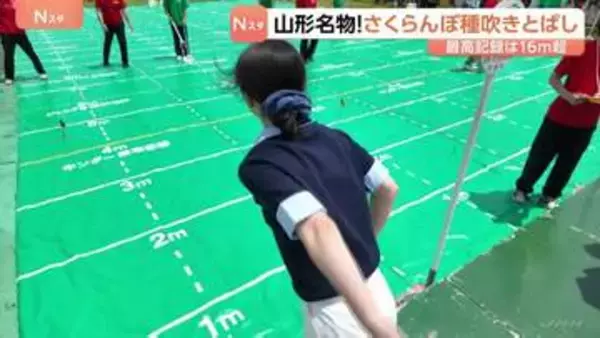 山形名物！さくらんぼ種吹きとばし大会　1000人超がエントリー　最高記録は16.4メートル　山形・寒河江市