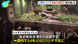 「上野の「双子パンダ」観覧最終日　あす27日に中国へむけ出発　国内のパンダは54年ぶり不在に」の画像1