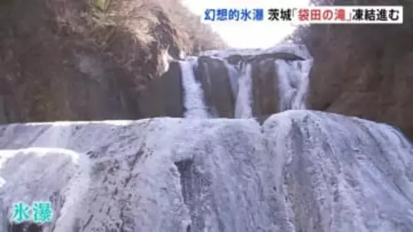 日本三名瀑「袋田の滝」が「氷瀑」　全体の8割以上が凍結し神秘的な光景広がる　茨城県・大子町