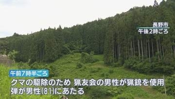 クマ駆除中　猟銃の「跳弾」で男性（81）左肩をけが　クマは駆除される　長野