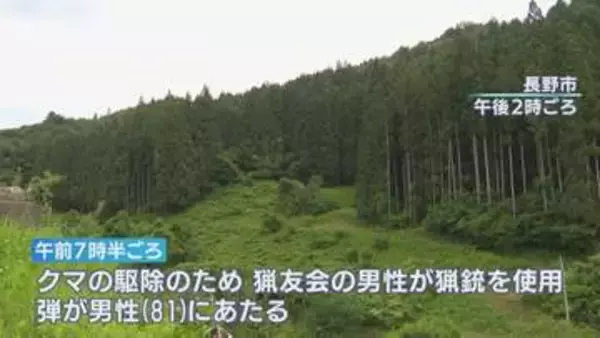 クマ駆除中　猟銃の「跳弾」で男性（81）左肩をけが　クマは駆除される　長野