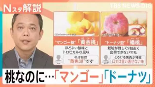 桃って100種類以上あるんです！　「パリパリな桃」「ドーナツみたいな桃」　日本一おいしい桃は？「全国桃選手権」開催！【Nスタ解説】