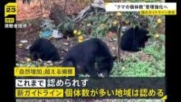 相次ぐクマ被害を受けクマの捕獲や管理に関する国のガイドラインを改定 「自然増加率」を超えるクマの捕獲が認められる