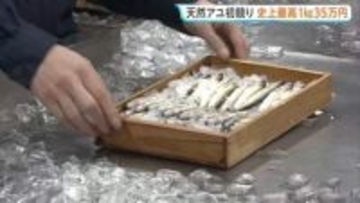 天然アユの初競りで史上最高値 1キロ35万円！「まじかよ…」 岐阜市の中央卸売市場