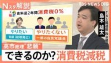 高市総理「悲願」の消費減税に党内から「愚策」の声、表面化する自民党議員の本音【Nスタ解説】