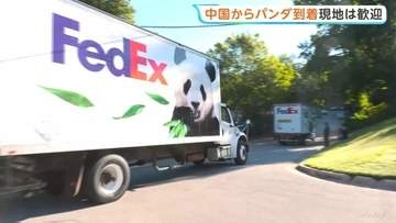 ジャイアントパンダ2頭「平平」「福双」が米アトランタに到着 中国から10年間貸与予定「お互いにとって良いこと」