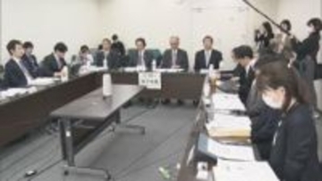 “ゲノム編集された赤ちゃんの誕生” 政府が罰則付きで禁止する方針固める「デザイナーベビー」などの懸念踏まえ