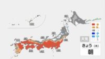 晴れても風強く　花粉の飛散増加　北日本は午前を中心に雨や雪