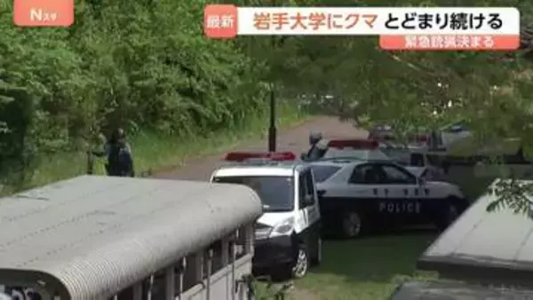 岩手大学にクマが出没・敷地内に留まる 「緊急銃猟」盛岡市内で初の実施を決定　麻酔銃による捕獲・駆除へ