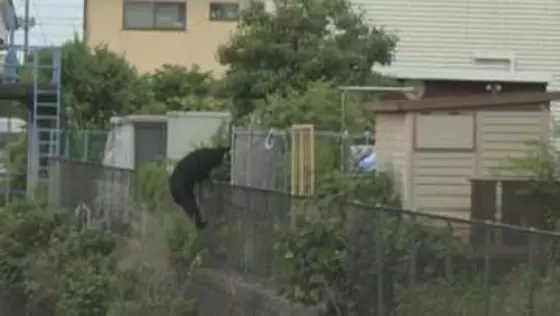 【速報】栃木県宇都宮市で相次ぐクマの目撃情報　JNNのカメラがクマの姿を住宅街で捉える