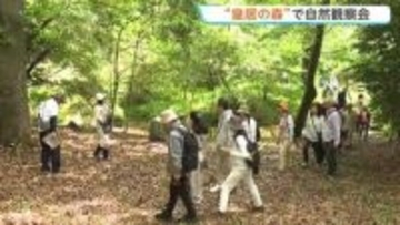 東京都心の“皇居の森”で「自然観察会」　絶滅危惧種含む約8000種がこれまで確認　豊かな自然の中散策楽しむ