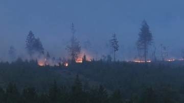 ベルギー東部で過去最大規模の山火事