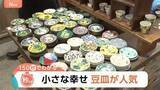 「豆皿で食卓がパッと華やかに！かさばらない・安価・SNS映え…国内外で“豆皿”が人気【Nスタ解説】」の画像1