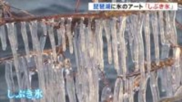 びわ湖に氷のアート「しぶき氷」 風で飛ばされた波しぶきが急速に冷やされ木や岩などが凍りつく現象