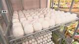 「たまご価格　最高値更新の先月からほぼ横ばいも高水準続く」の画像1