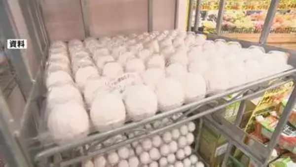 たまご価格　最高値更新の先月からほぼ横ばいも高水準続く