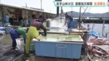 洗濯物の外干しやワカメ漁再開　岩手・大槌町の山林火災　避難指示の大部分解除もいまだ鎮圧には至らず