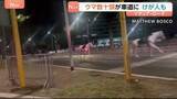 「ローマで馬が逃げ出す 数十頭が道路を疾走　パレードのリハーサルで花火に驚いたか 馬から振り落とされた1人が重傷　イタリア」の画像1