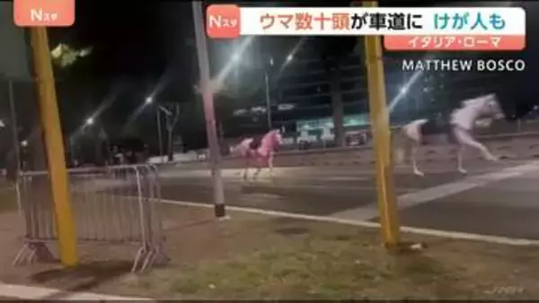 ローマで馬が逃げ出す 数十頭が道路を疾走　パレードのリハーサルで花火に驚いたか 馬から振り落とされた1人が重傷　イタリア