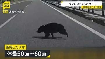 【ドラレコ映像】岩手・東北道を走行中の車にクマが衝突　中央分離帯から突然の飛び出し バンパーが割れ車体には毛が付着　2日前には秋田道のSAで目撃情報
