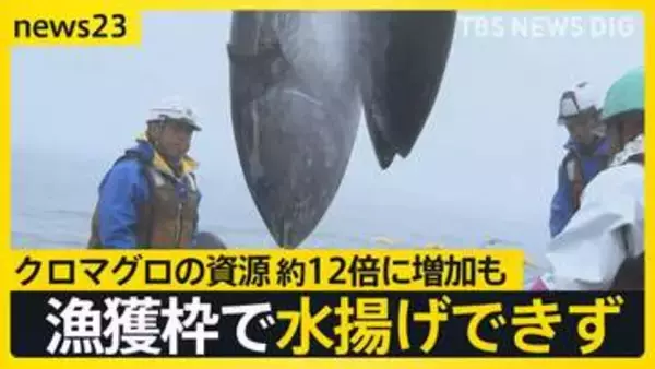 【クロマグロ“獲れすぎ”】“海のダイヤ”豊漁で異変　国際会議「漁獲枠25％拡大」は突如メキシコ反対で合意ならず【news23】