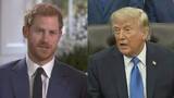 「ヘンリー王子夫妻の帰国「嬉しい」 トランプ大統領「彼らのファンではない」「私が王室のメンバーならば帰国を受け入れない」とも主張」の画像1