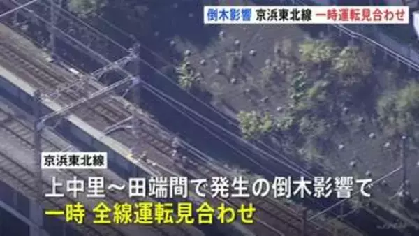 京浜東北線が全線で大幅遅延　上中里～田端間の“倒木”で一時運転見合わせ　JR東日本が原因調査