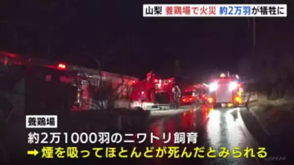 養鶏場で火災　2万1000羽のほとんどが死んだか　「ガスボンベが燃え建物に延焼」と通報　山梨・富士川町