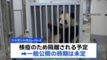 双子パンダ「シャオシャオ」「レイレイ」 中国に到着　検疫のため隔離へ　一般公開の時期は未定