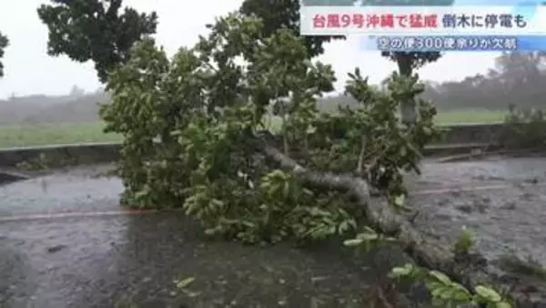 【台風9号】沖縄で猛威 宮古島で最大瞬間風速42.7m　停電や倒木の被害も　一方で列島各地は危険な暑さに 福岡・太宰府市では今年全国で最も暑い39.3℃観測