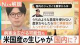 「「日本農業が脅かされるリスクも」アメリカ産の生ジャガイモ全面輸入解禁へ高まる警戒感【Nスタ解説】」の画像1
