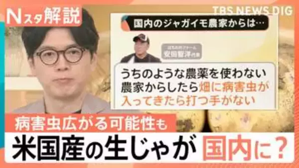 「日本農業が脅かされるリスクも」アメリカ産の生ジャガイモ全面輸入解禁へ高まる警戒感【Nスタ解説】
