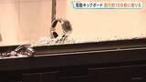 「「中野ブロードウェイ」2億円相当の高級腕時計窃盗 実行役の男は犯行の約10分前に電動キックボードを借りる 別々に逃げた後合流し着替えて逃走か 警視庁」の画像1