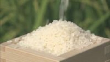 コメの業者間での取引価格が3か月連続で下落　在庫水準の高まりで