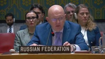 「アメリカがビザ発給せず」ロシア国連大使が批判　外務次官が安保理に出席できず