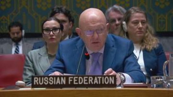 「アメリカがビザ発給せず」ロシア国連大使が批判　外務次官が安保理に出席できず