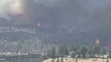 「米ワシントン州で大規模な山火事 約5000世帯が避難、約600の建物が被害　州全体に非常事態宣言」の画像1