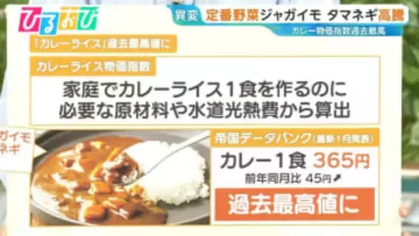 “カレーライス物価指数”1食「365円」に！定番ジャガイモ＆玉ねぎ「今シーズンずっと高値」【ひるおび】