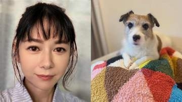 【 真木よう子 】愛犬シェリーが入院〝どうか少しだけ力を貸して下さい〟フォロワーから回復への願い集まる