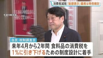 食料品の消費税減税に向け自民党が制度設計の議論スタート　「総額表示」義務づけへの対応など意見交換