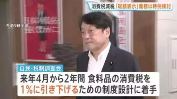 食料品の消費税減税に向け自民党が制度設計の議論スタート　「総額表示」義務づけへの対応など意見交換