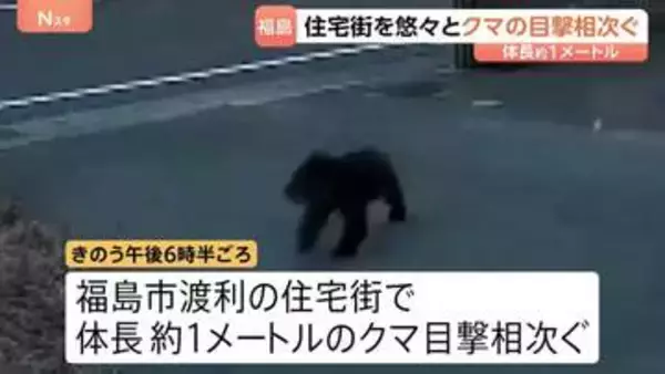 体長約1mのクマの目撃相次ぐ カメラ映像に住宅敷地内を悠々と歩く姿も 福島市