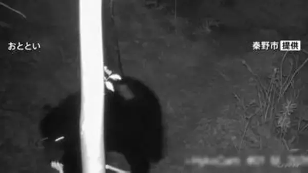 カメラの前をゆっくりと横断　ツキノワグマ撮影される　今月19日に捕獲も保護のため放獣したクマと同一個体　神奈川・秦野市
