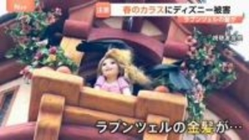 春のカラスに要注意！新幹線が止まり、ディズニーシーでも…　巣づくりで停電も　年に数万件撤去も対策追いつかず　今後はヒナ守る“攻撃”も