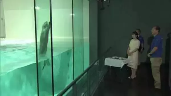 愛子さま　鳥羽水族館でラッコのジャンプに笑顔　三重県　きょうは伊勢神宮参拝と“お木曳”視察