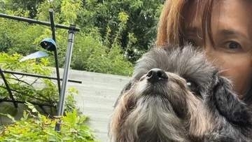 〝う～～わ〟【 工藤静香 】〝ここにアオムシいるよ〟庭木のアオムシを駆除せず移動　愛犬たちと束の間のひととき