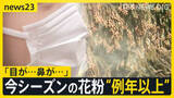 「あす春節　賑わう観光地では「目薬とティッシュは必ず…」スギ花粉　東京で飛散開始　一方でインフルB型急増　1シーズンで2度「警報レベル」超え【news23】」の画像1