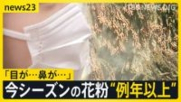 あす春節　賑わう観光地では「目薬とティッシュは必ず…」スギ花粉　東京で飛散開始　一方でインフルB型急増　1シーズンで2度「警報レベル」超え【news23】