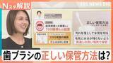 「その歯ブラシ、大丈夫？歯垢1gに1000億個の細菌が…風呂場はNG？プロが教える意外な“落とし穴”【Nスタ解説】」の画像1